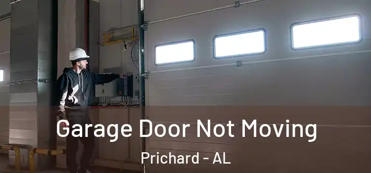  Garage Door Not Moving Prichard - AL