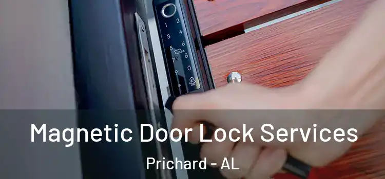 Magnetic Door Lock Services Prichard - AL