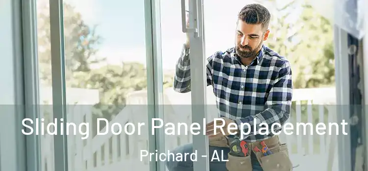  Sliding Door Panel Replacement Prichard - AL